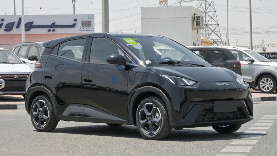 BYD Seagull 2024