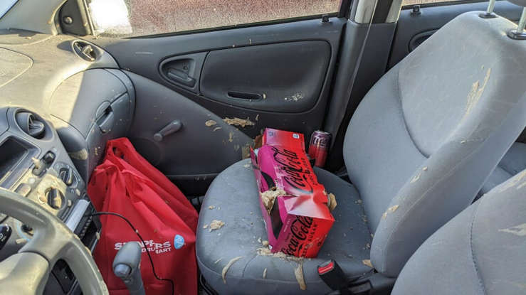 Що категорично не можна залишати в авто взимку